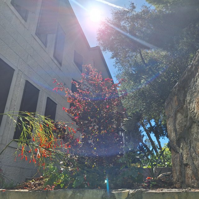 20240428_150544.jpg