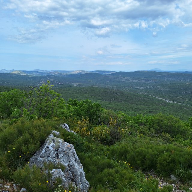 20240501_101340.jpg