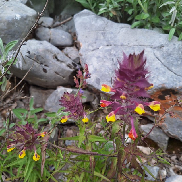 20240501_105052.jpg